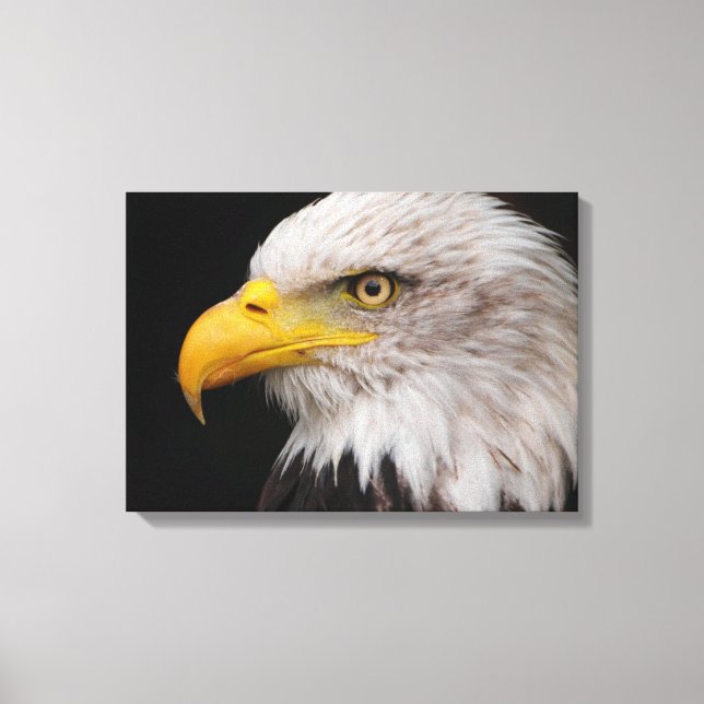 Lienzo Retrato de águila (Anverso)