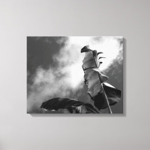 Lienzo Retrato de árbol bananero