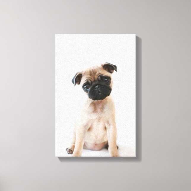 Lienzo Retrato de Baby Pug (Anverso)