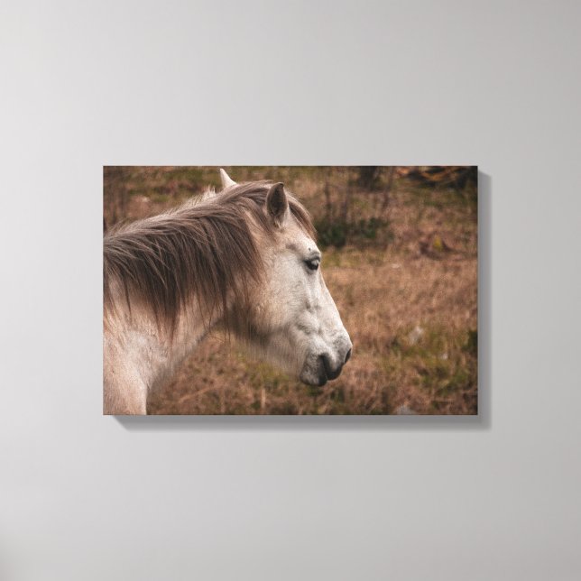Lienzo Retrato de caballo (Anverso)