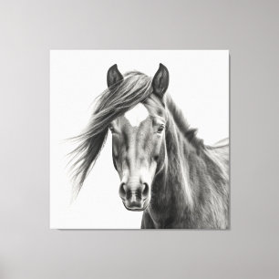 Lienzo Retrato De Caballo: Caballo Monocromo Esbozado A M