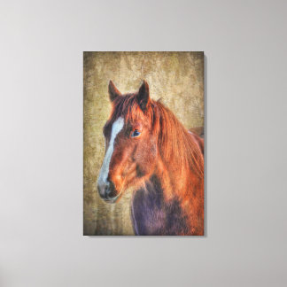 Lienzo Retrato de caballo de acedera sobre efecto de grif