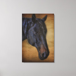 Lienzo Retrato de caballo negro sobre el efecto pergamino