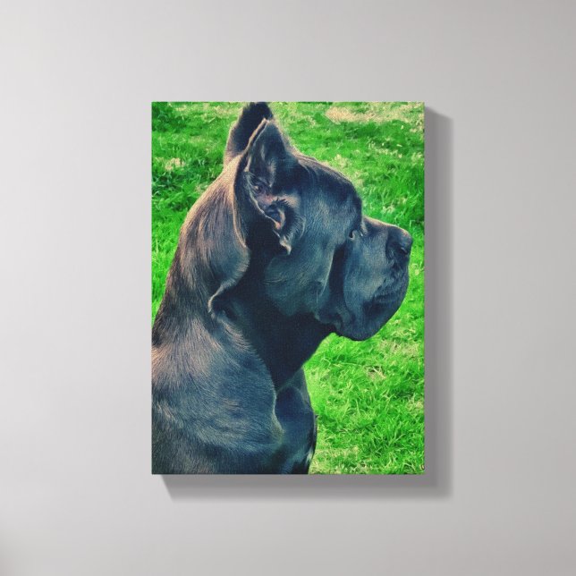 Lienzo Retrato de Cane Corso (Anverso)