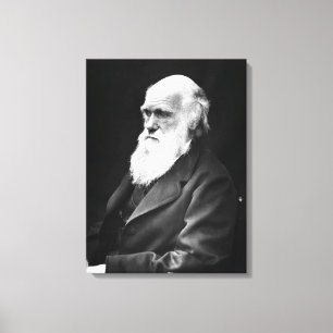 Lienzo Retrato de Charles Darwin