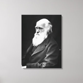 Lienzo Retrato de Charles Darwin
