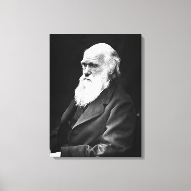 Lienzo Retrato de Charles Darwin (Anverso)