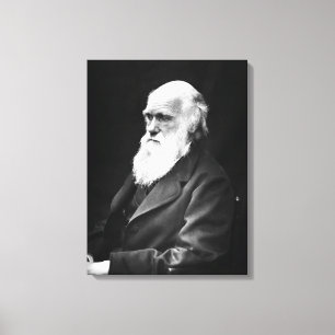 Lienzo Retrato de Charles Darwin