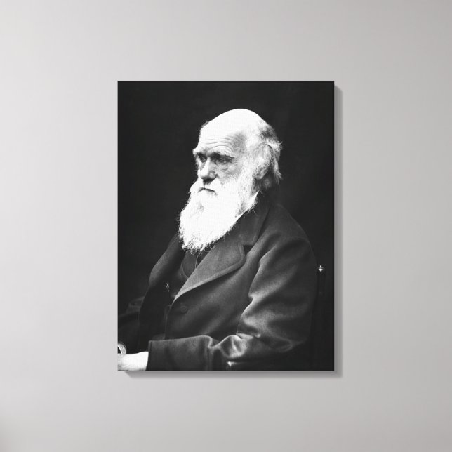 Lienzo Retrato de Charles Darwin (Anverso)