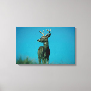 Lienzo Retrato de ciervo