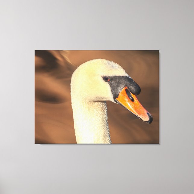 Lienzo Retrato de cisne mudo de cabeza (Anverso)