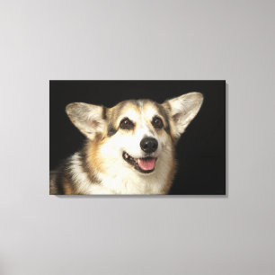 Lienzo Retrato de Corgi negro, marrón y blanco