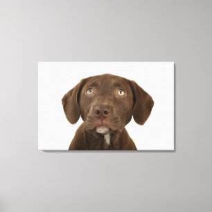 Lienzo Retrato de cuatro meses del perrito del