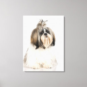 Lienzo Retrato de estudio de Shih Tzu