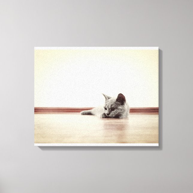 Lienzo Retrato de gatito SUPER CUTE - Estilo de época (Anverso)