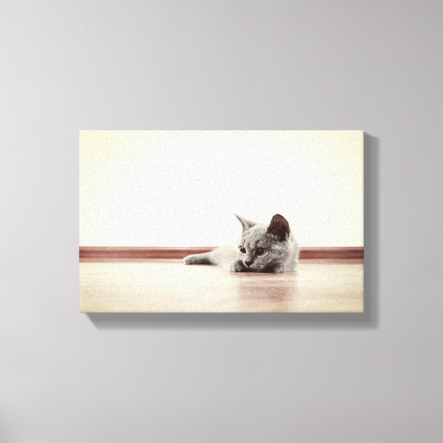 Lienzo Retrato de gatito SUPER CUTE - Estilo de época (Anverso)