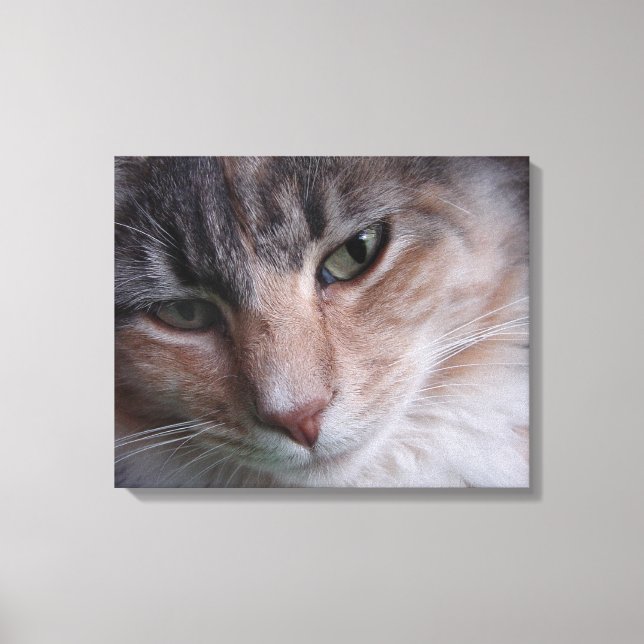 Lienzo Retrato de gato (Anverso)