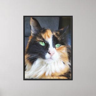 Lienzo Retrato de Gato Calico Ojos Verdes Cabello Largo