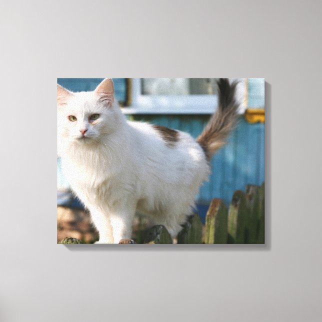 Lienzo Retrato de gato en la valla (Anverso)