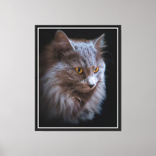 Lienzo Retrato de gato Nebelung de pelo largo Azul Ruso