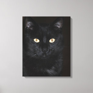 Lienzo Retrato de gato negro