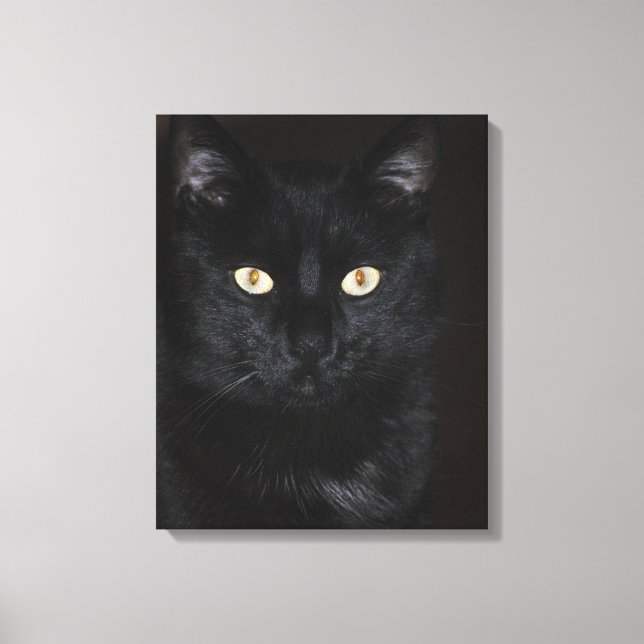 Lienzo Retrato de gato negro (Anverso)