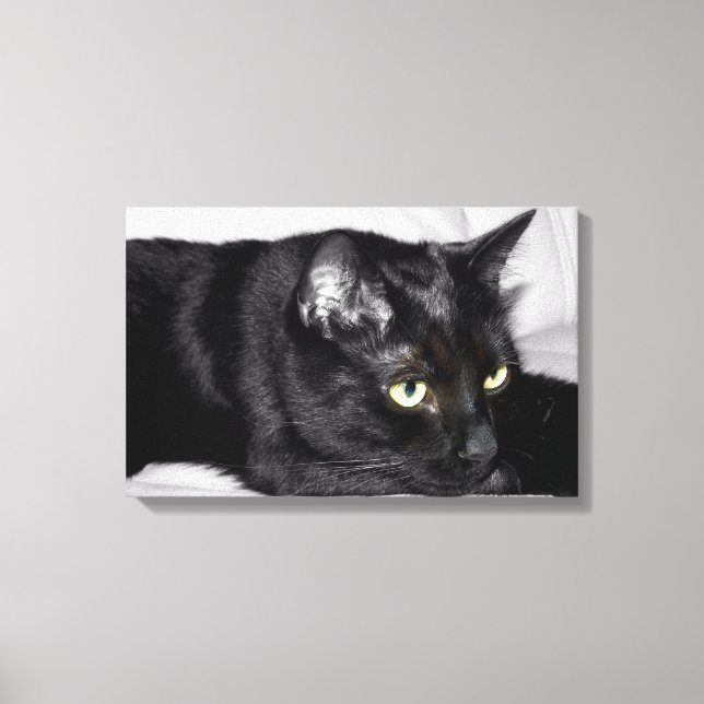 Lienzo Retrato de gato negro lindo (Anverso)