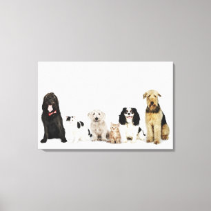 Lienzo Retrato de gatos y perros sentados juntos