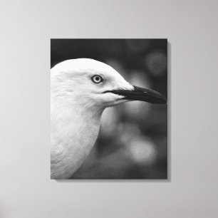 Lienzo Retrato de gaviota