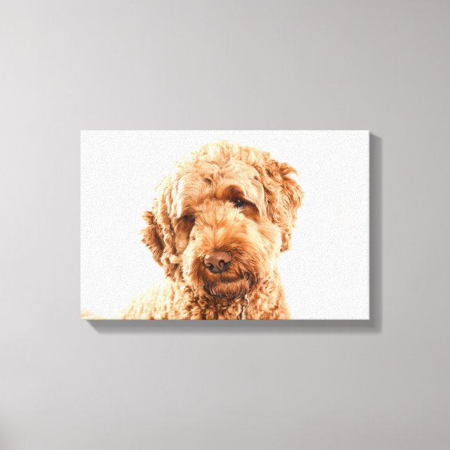 Lienzo Retrato de Goldendoodle Studio (Anverso)