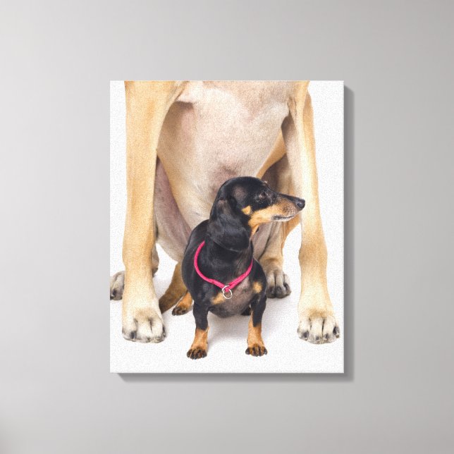 Lienzo Retrato de Great Dane y Dachshund (Anverso)