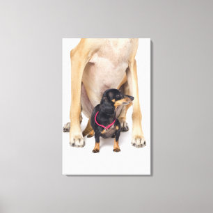 Lienzo Retrato de great dane y del Dachshund