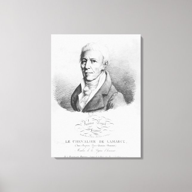 Lienzo Retrato de Jean-Baptiste de Monet (Anverso)