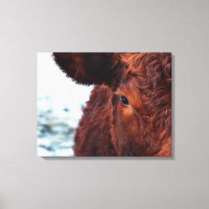 Lienzo Retrato de la vaca de Brown