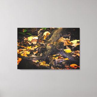 Lienzo Retrato de la vida silvestre de otoño