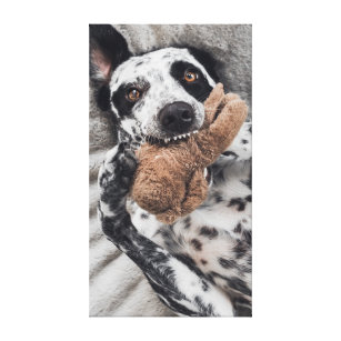 Lienzo Retrato de Mascota de fotos de perros