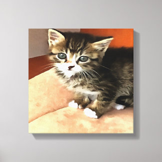 Lienzo Retrato de Mascota de gatitos de Tabby