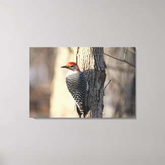 Lienzo Retrato de pájaros leñosos rojos