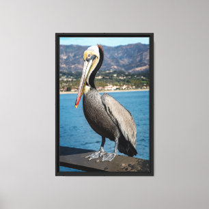 Lienzo Retrato de Pelícano Pardo de California
