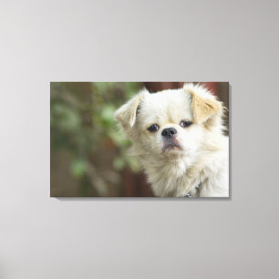 Lienzo Retrato de perro 5