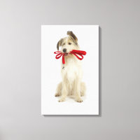 Retrato de perro con correa