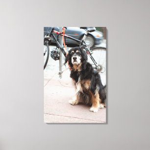 Lienzo Retrato de perro esperando esperadamente al dueño;