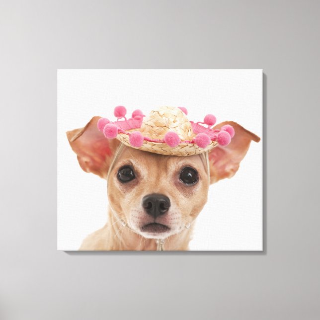 Lienzo Retrato de perro pequeño con sombrero (Anverso)