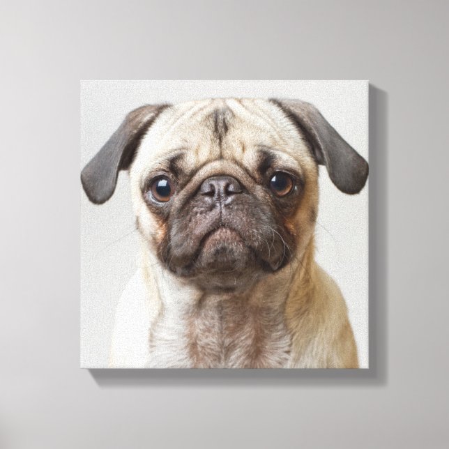 Lienzo Retrato de Pug (Anverso)