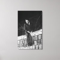 Retrato de Richard Burton