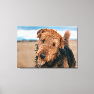 Lienzo Retrato de un Airedale Terrier