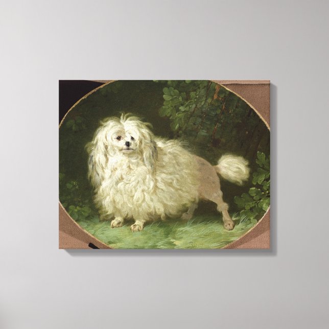 Lienzo Retrato de un caniche (Anverso)