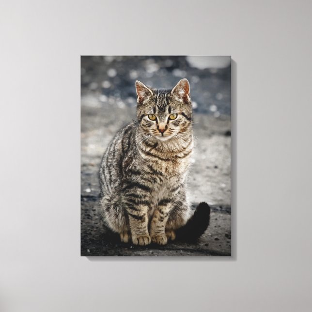 Lienzo Retrato de un gato (Anverso)