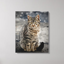 Lienzo Retrato de un gato