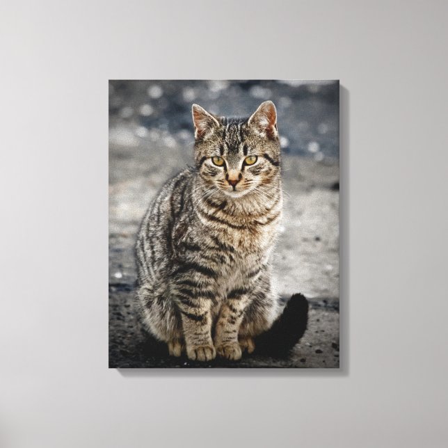 Lienzo Retrato de un gato (Anverso)